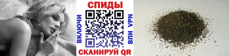 БУТИРАТ оксана  дарк нет как зайти  Новочеркасск 