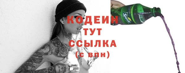 PSILOCYBIN Бородино