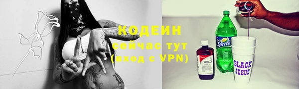 PSILOCYBIN Бородино