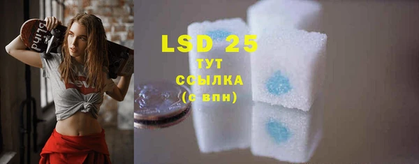 PSILOCYBIN Бородино