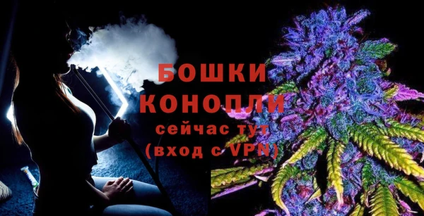 PSILOCYBIN Бородино