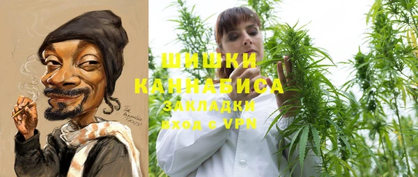 PSILOCYBIN Бородино