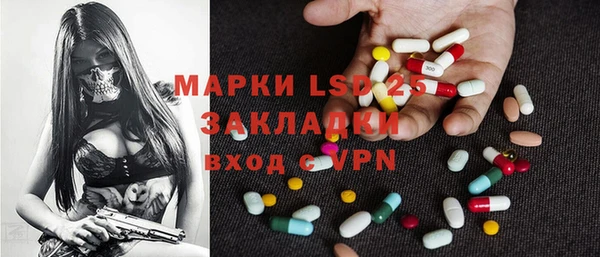 PSILOCYBIN Бородино