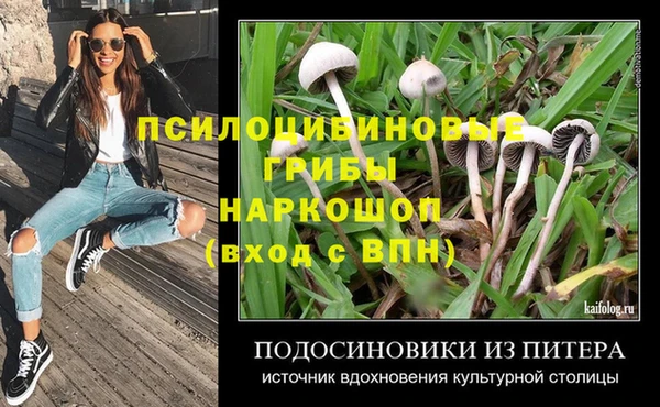 PSILOCYBIN Бородино