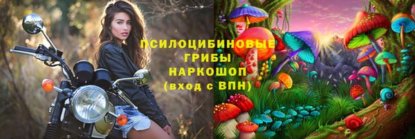 PSILOCYBIN Бородино