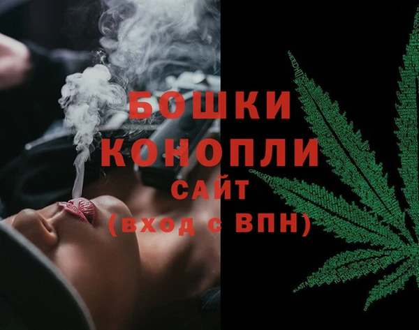 стаф Бронницы