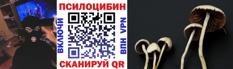 Псилоцибиновые грибы ЛСД  Новочеркасск 